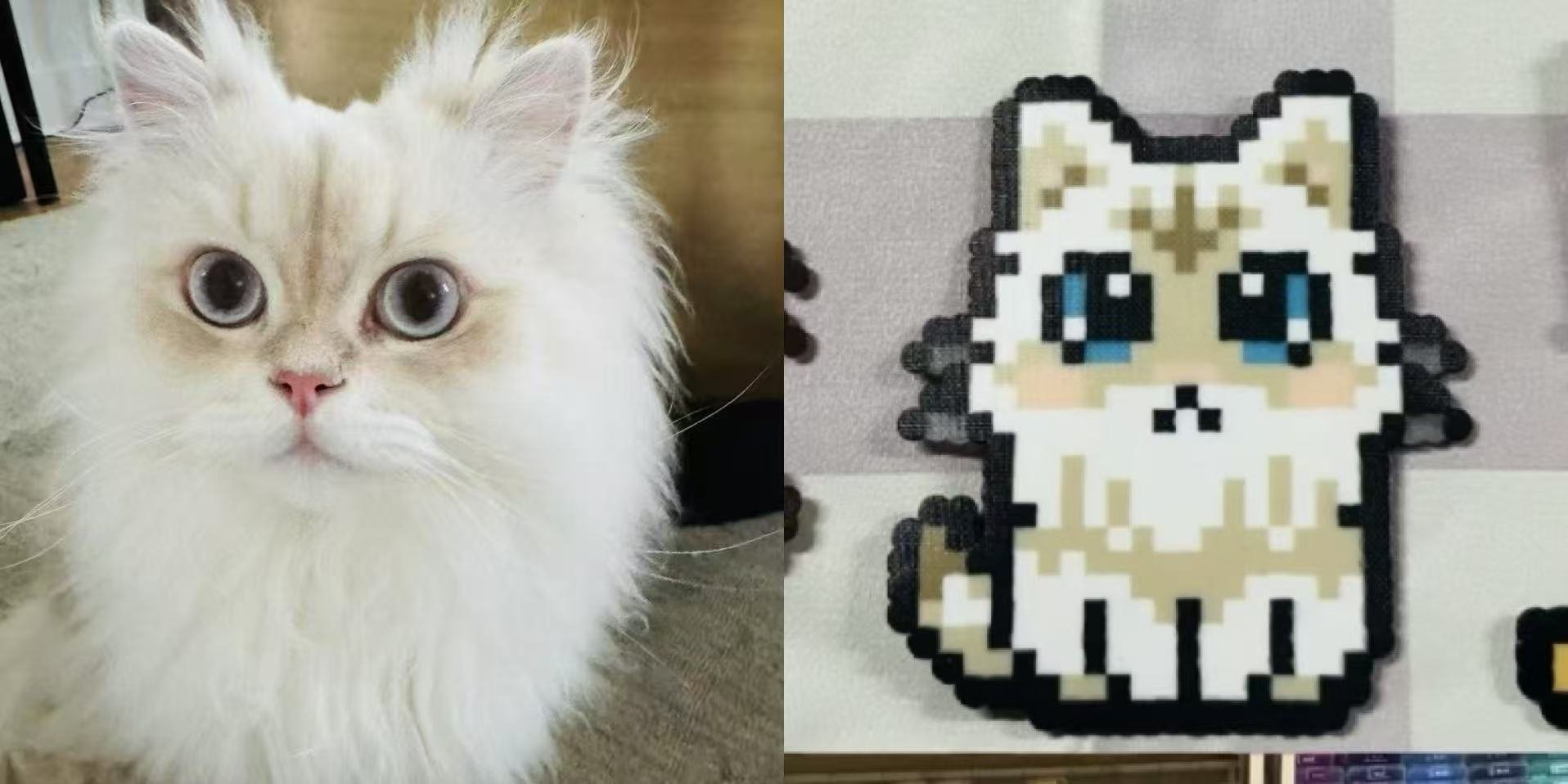 A side-by-side photo of a fluffy white cat with big blue eyes and a pixel art of a similar cat with blue eyes on a gray background.