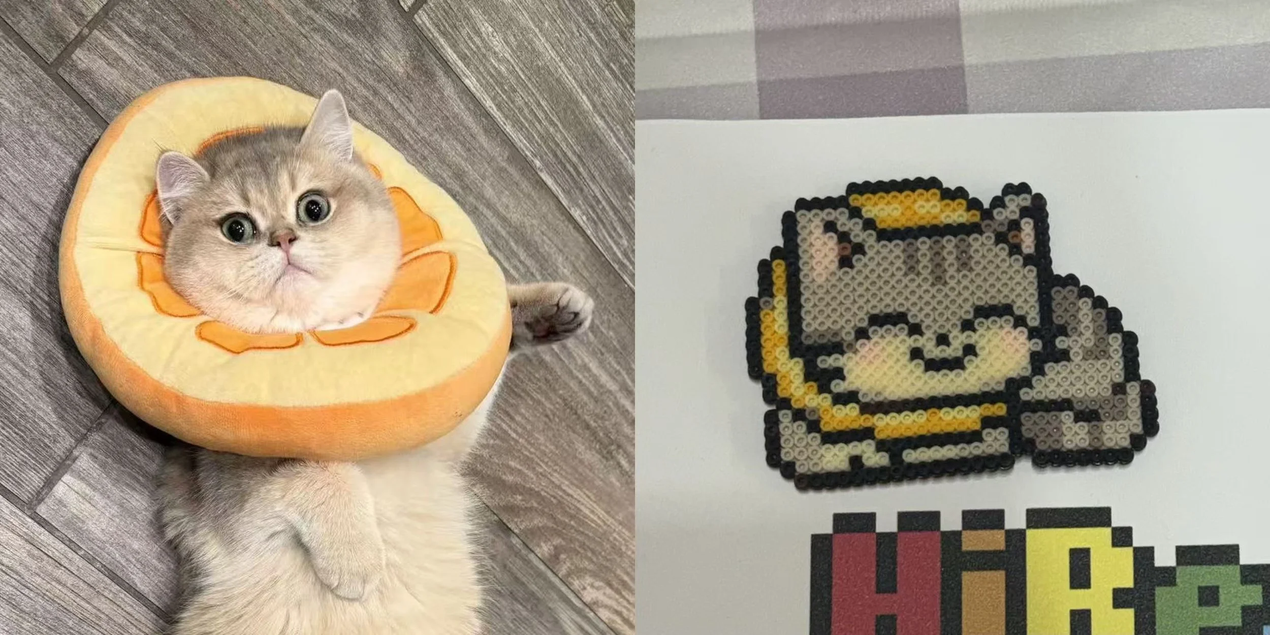 A cat with a dog's face lying on the floor, wearing a plush floatation device designed to look like an orange slice. Next to it, there is a pixel art figure of a cute dog with a yellow headband, smiling on a piece of paper.
