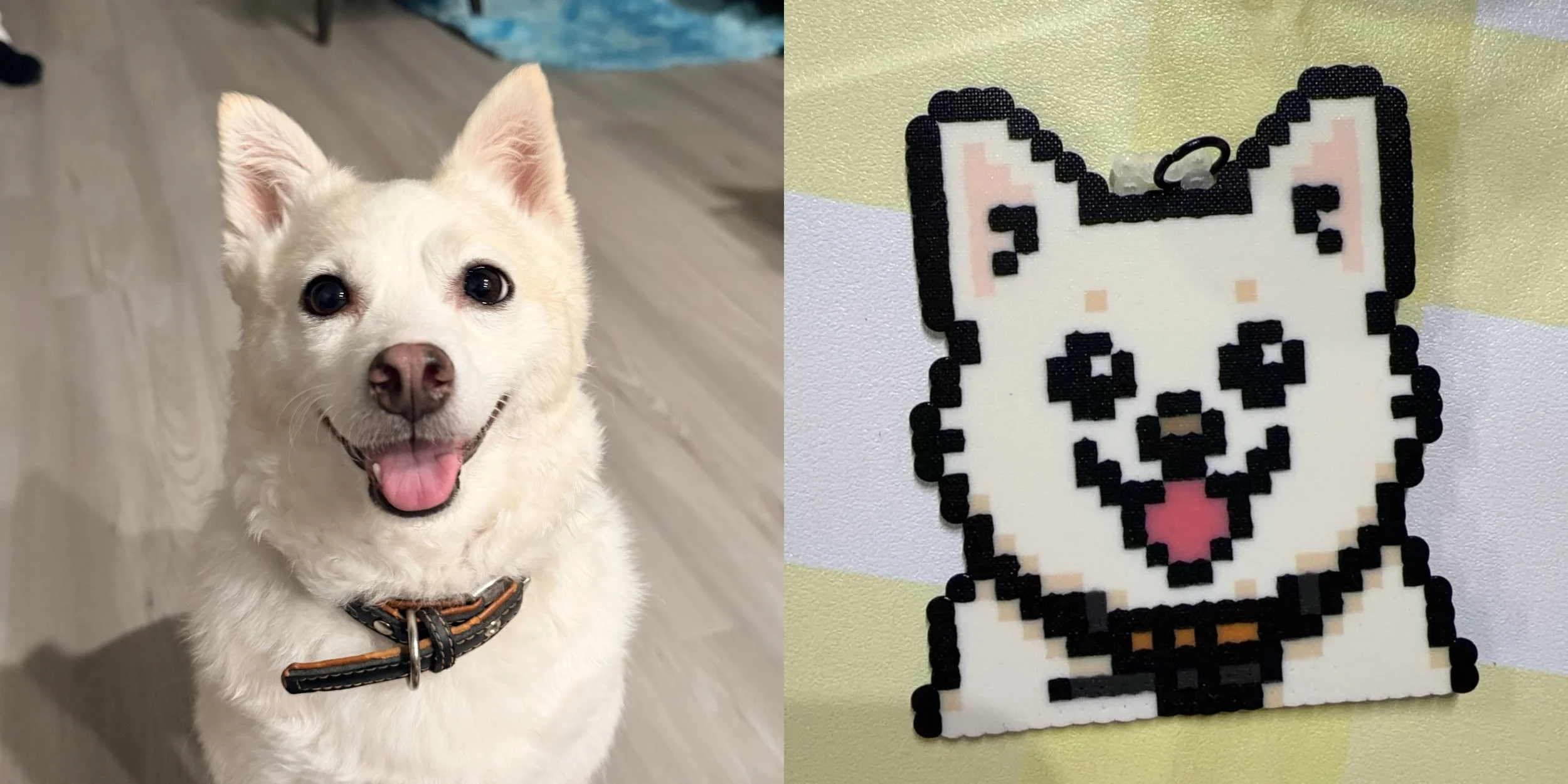 A happy cream-colored dog with pointed ears and dark eyes sits on a wooden floor, wearing a black and orange collar. Next to it, there is a pixel art picture of a dog's face on a yellow wall.