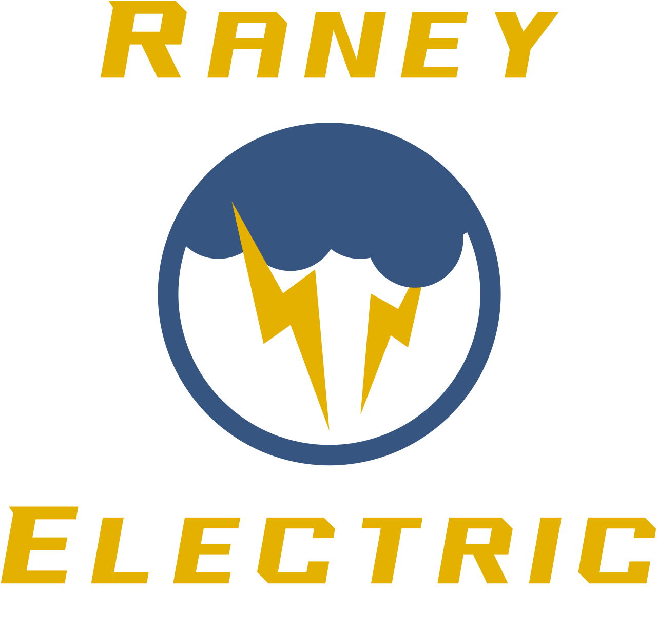 Raney Electric 
