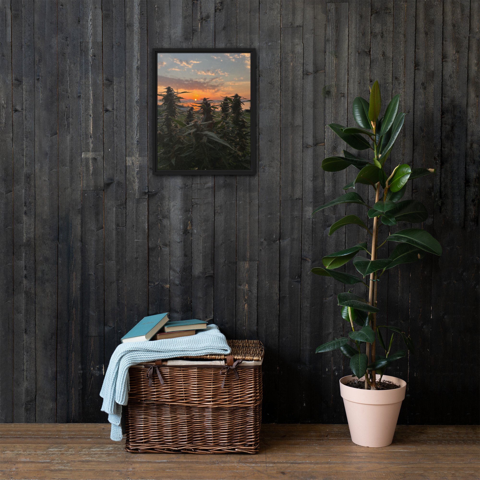 framed-canvas-(in)-black-16x20-front-674c0f5a4fee8.jpg
