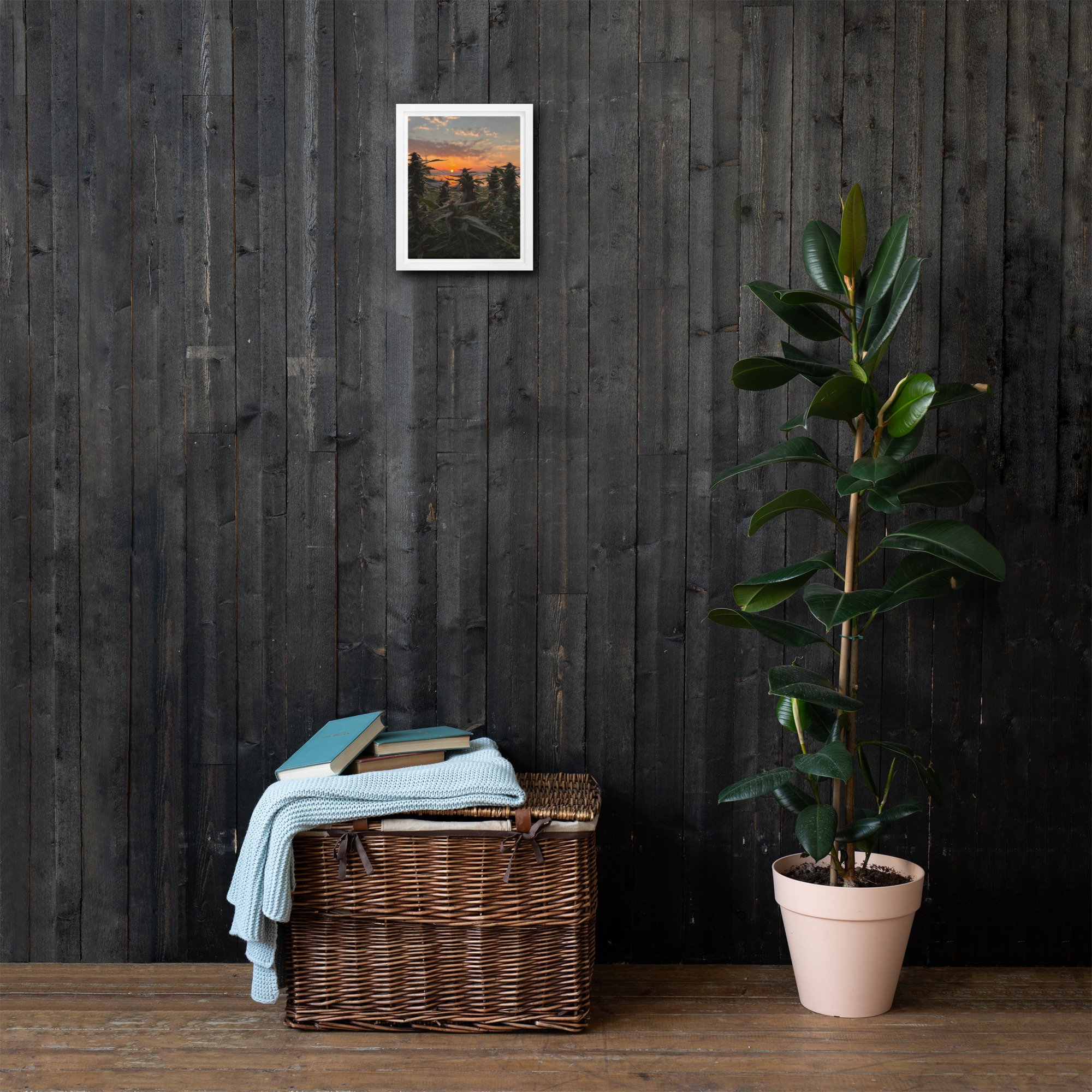 framed-canvas-(in)-white-8x10-front-674c0f5a50484.jpg