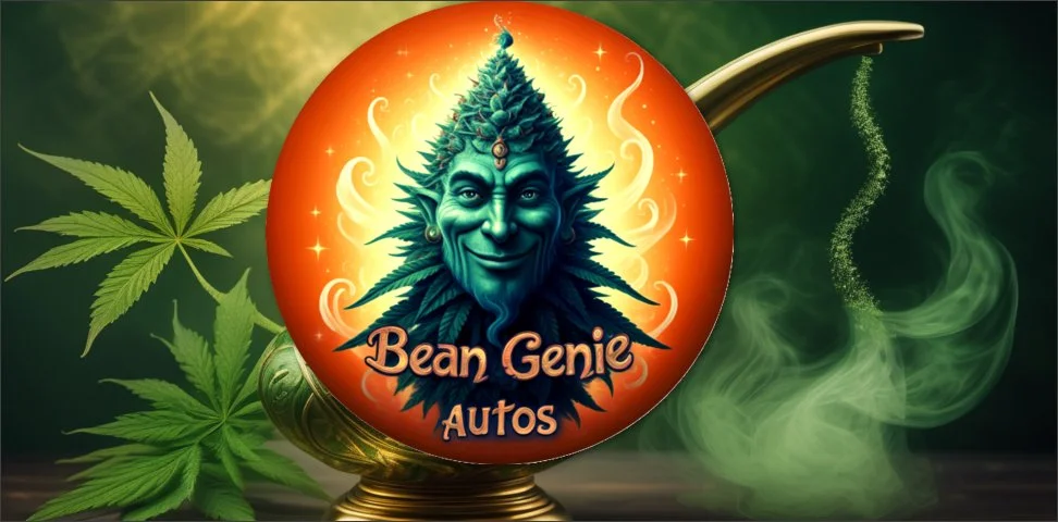 Bean Genie Automatics