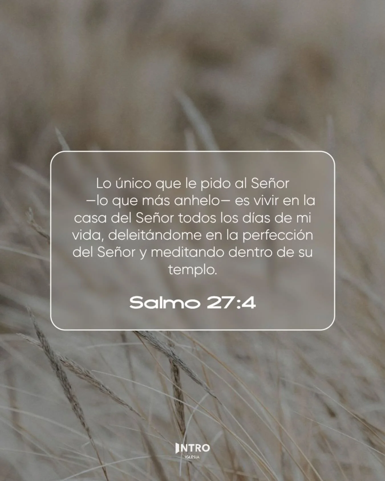 Una sola cosa importa: estar cerca de Dios y disfrutar su presencia todos los d&iacute;as 🕊️

Cuando Dios es nuestra prioridad, todo lo dem&aacute;s encuentra su lugar ✨

Elige lo eterno, pasar tiempo con Dios y dejar que &Eacute;l transforme tu cor