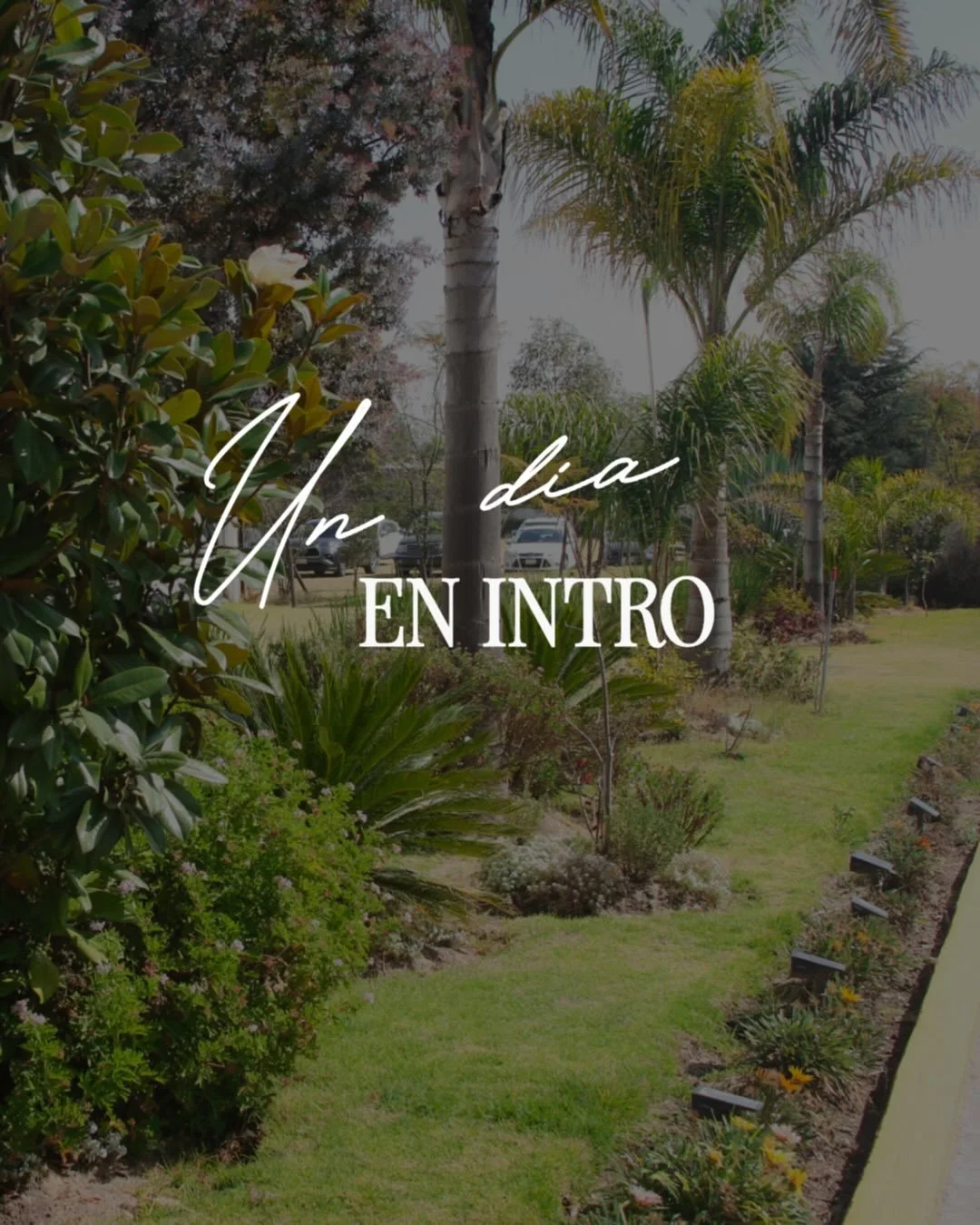 Familia Intro ustedes hacen que los domingos sean tan especiales 🫶 amamos verlos.

Dios sobrepas&oacute; toda expectativa con lo que vivimos en nuestra reuni&oacute;n, damos gracias a Dios por su obra🙏 Fue un domingo lleno de la presencia de nuestr