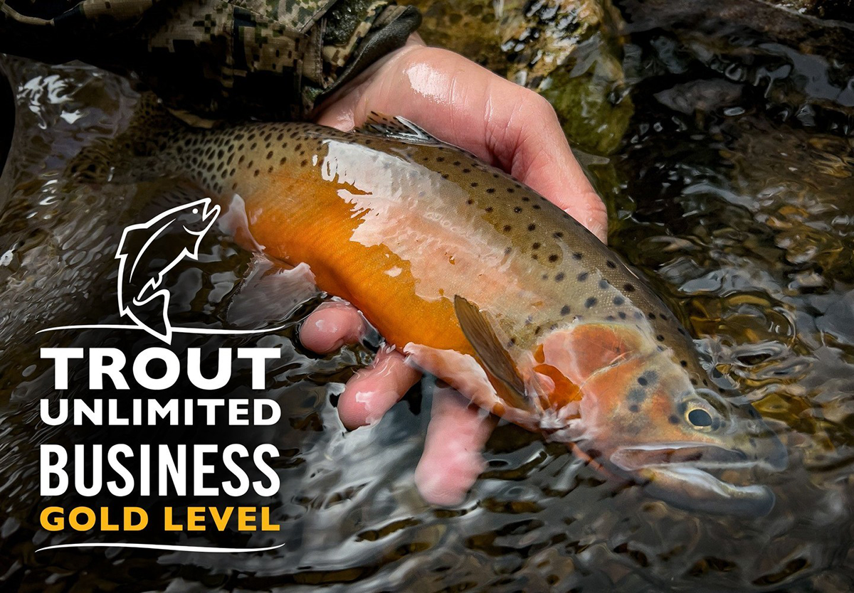 A person holding a large rainbow trout fish in clear water. The fish has a colorful stripe along its body with spots. There is a logo with a fish outline and the words "Trout Unlimited Business Gold Level" overlayed on the image.