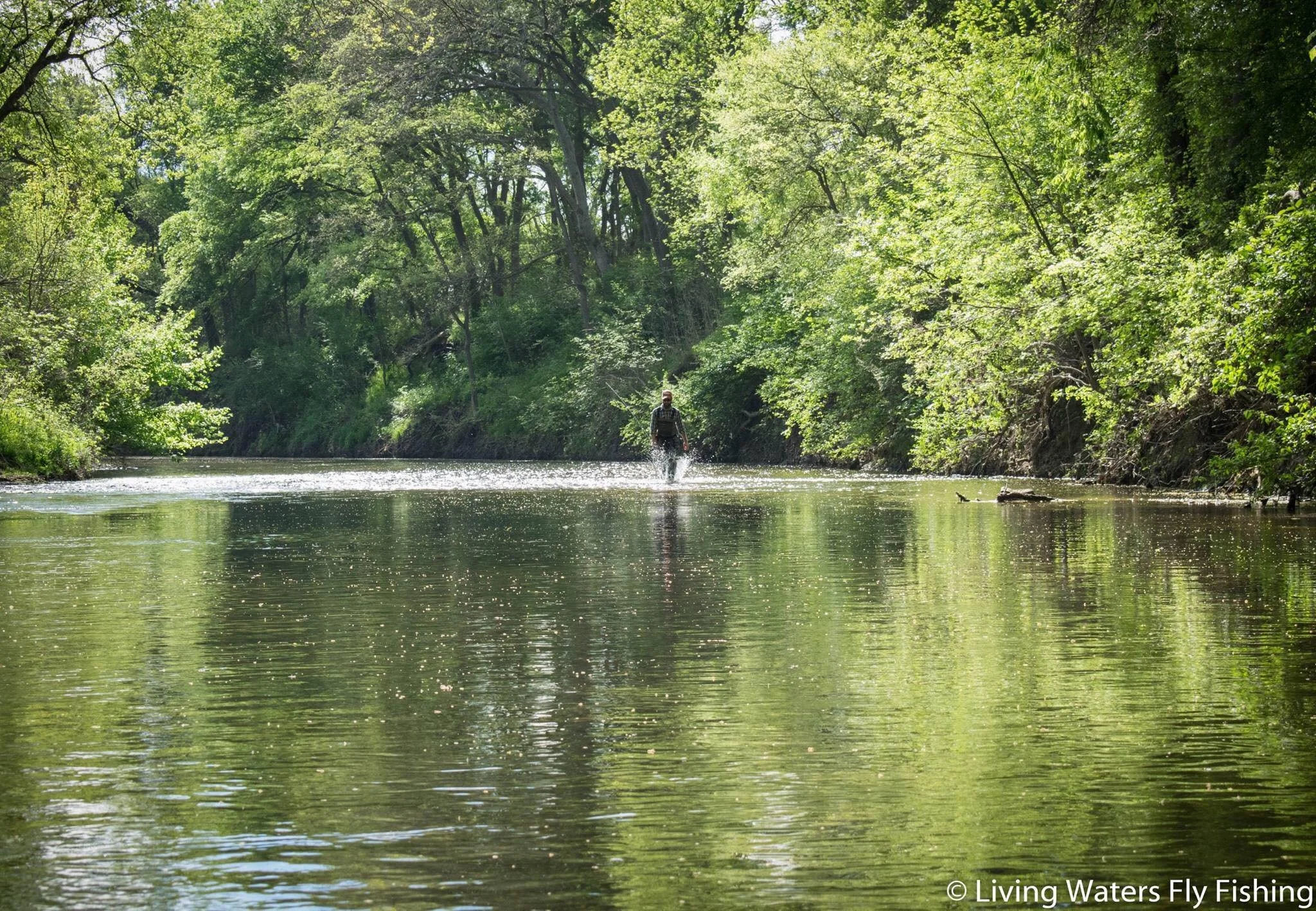 Brushy Creek Conservation Event