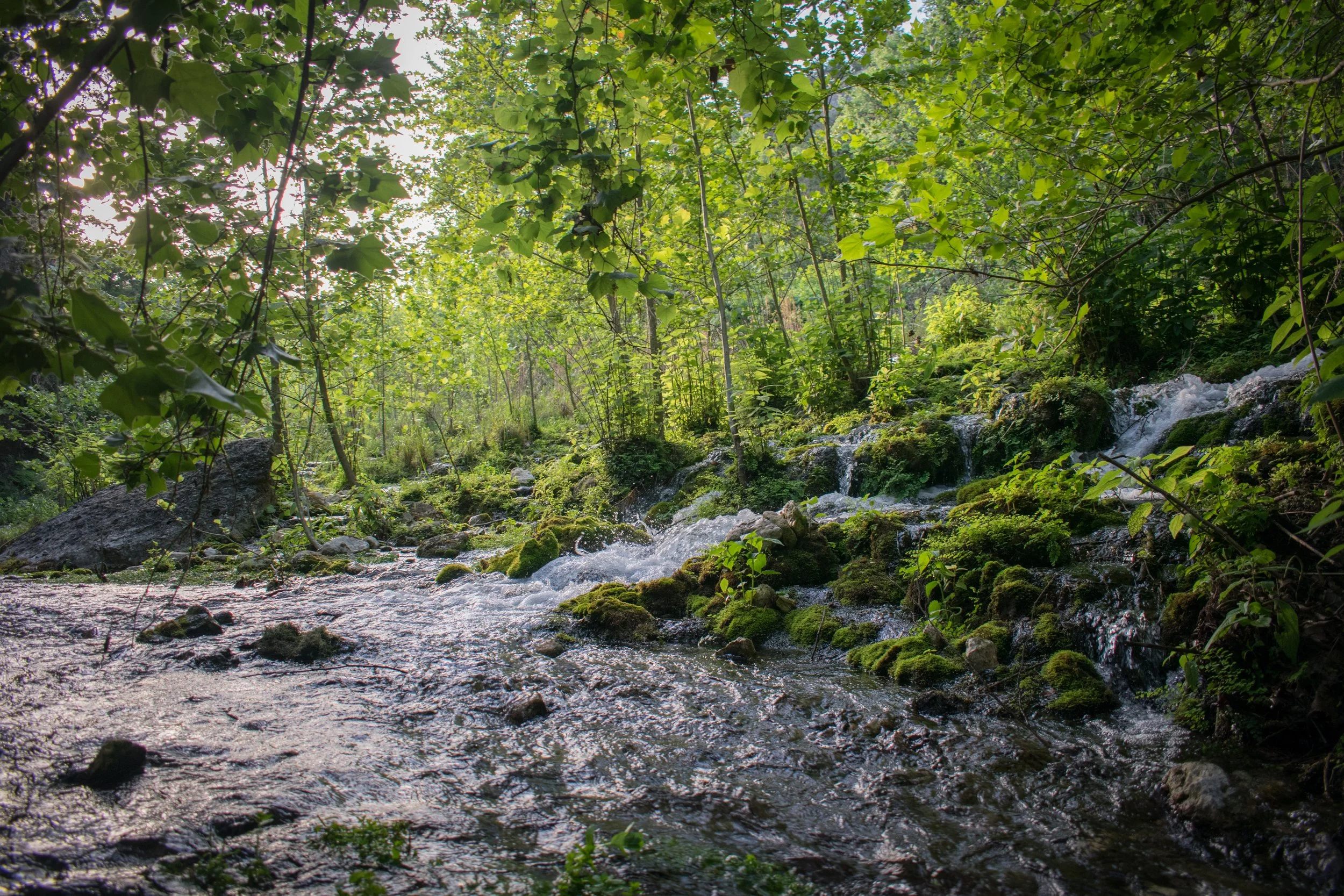 Fly Fishing the Western Hill Country
