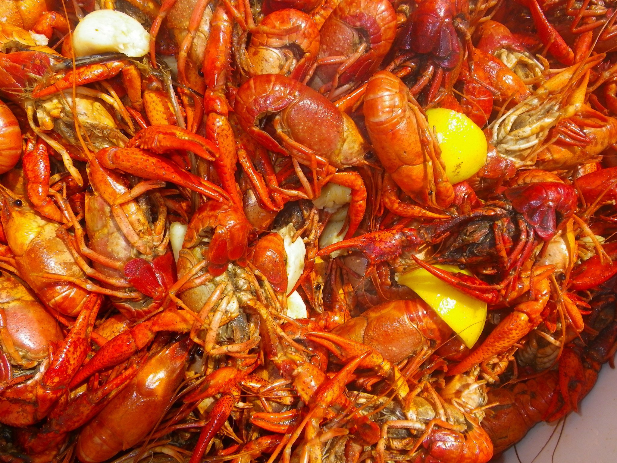 Annual Brushy Creek Cleanup & Crawfish Boil