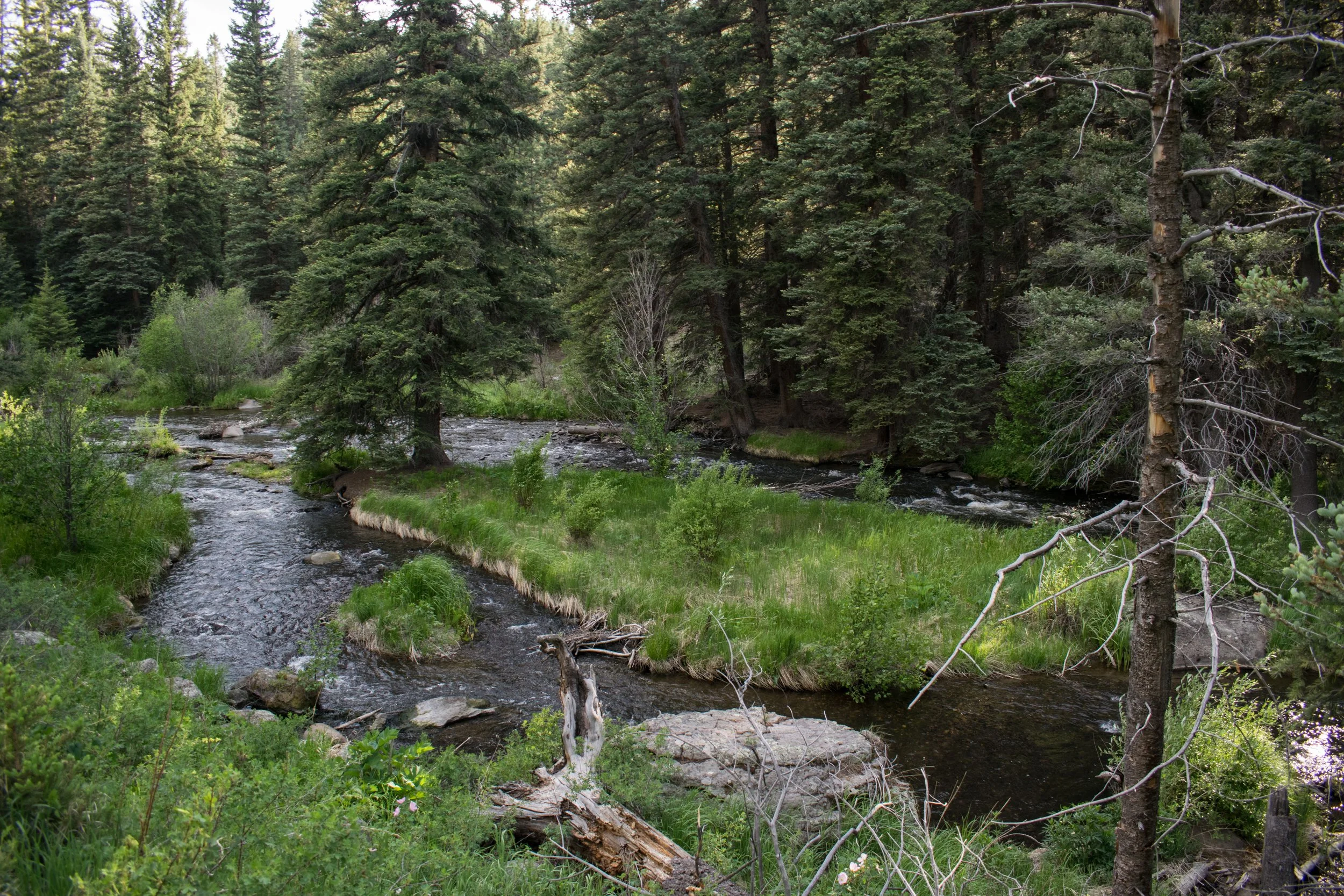 Fly Fishing Southern Colorado