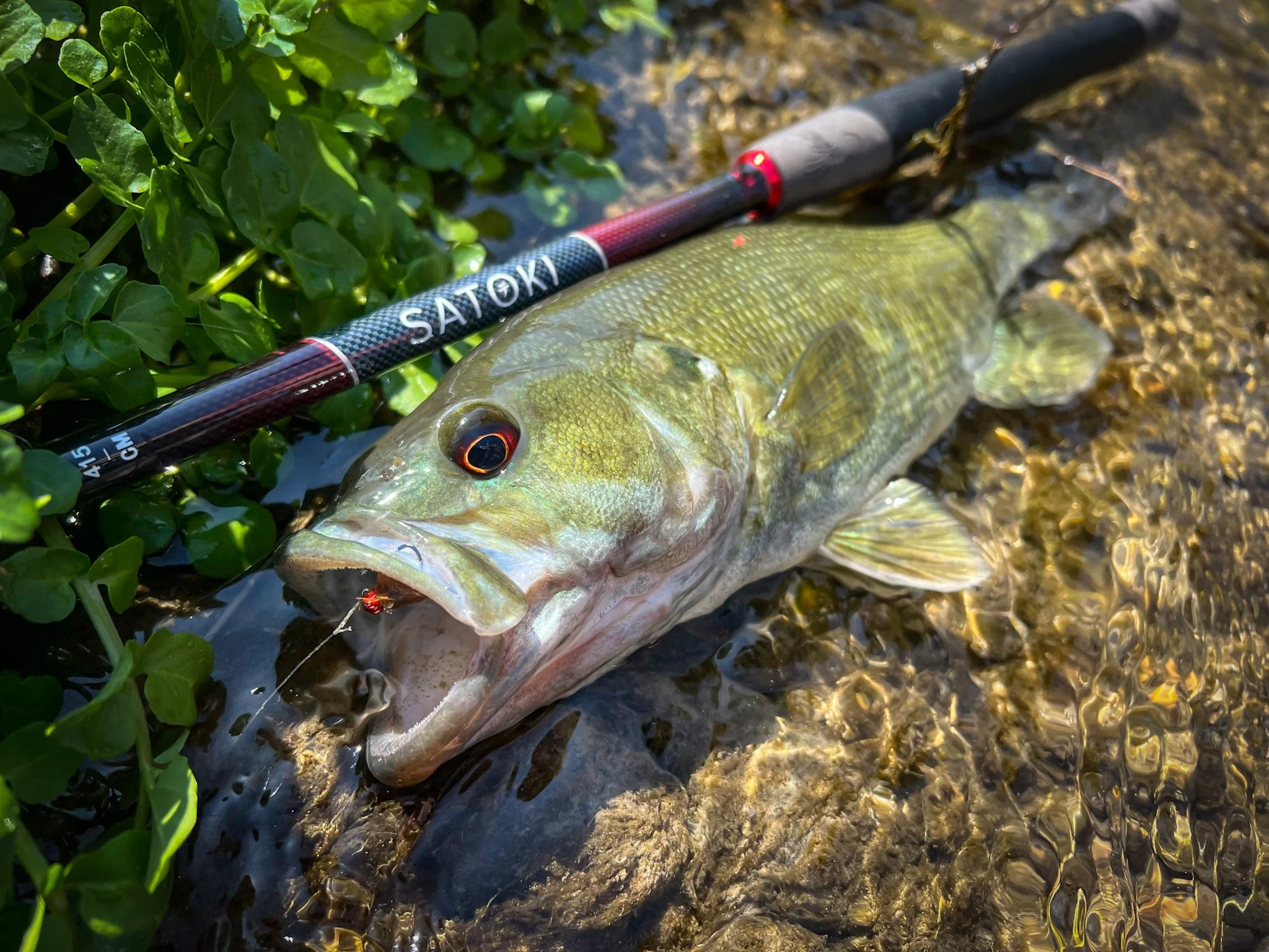Tenkara for Texas and Beyond