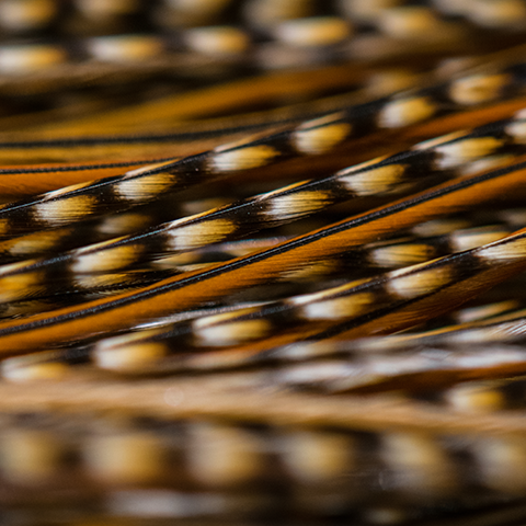Close-up of animal feathers with a pattern of brown, black, and white spots.