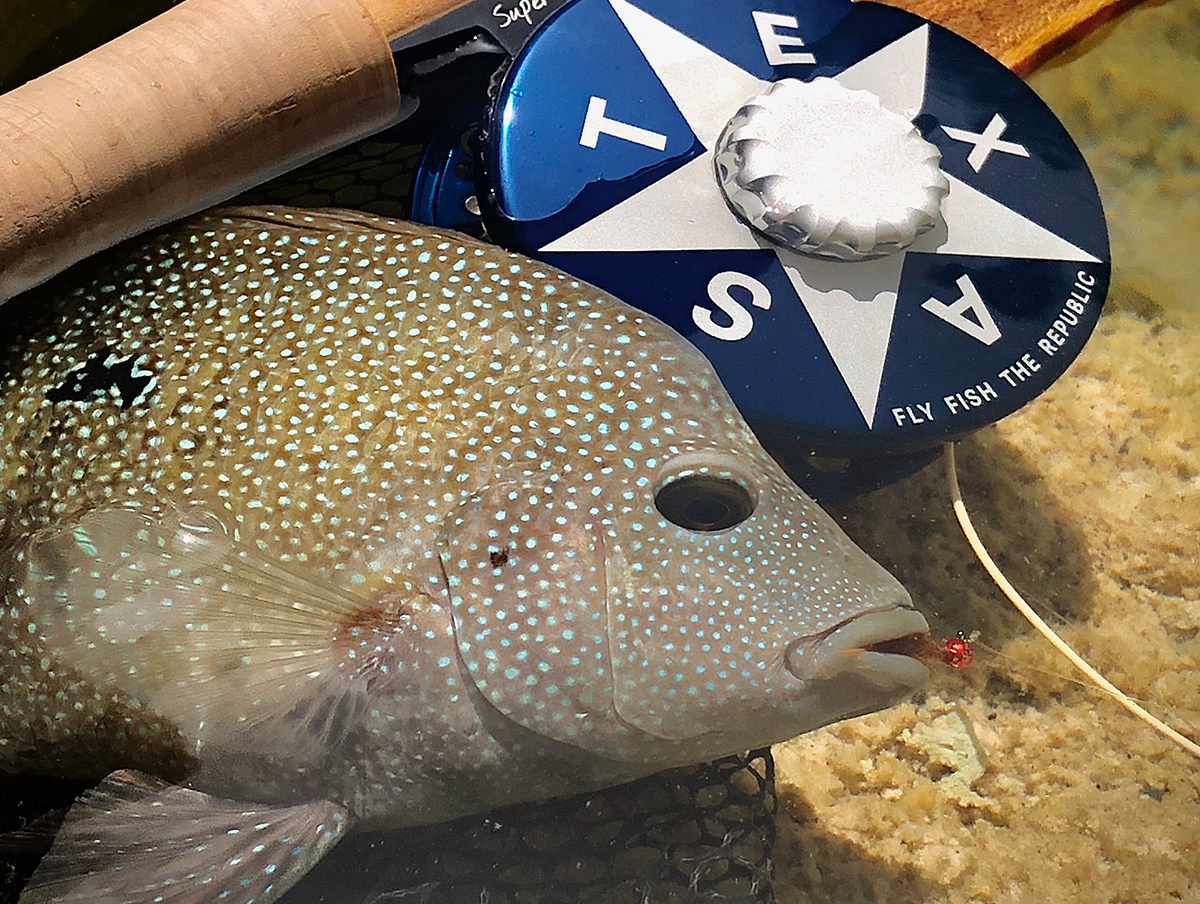 A speckled fish with a hook in its mouth next to a fishing reel with a star shape and the words 'TEXAS' and 'FLY FISH THE REPUBLIC'.