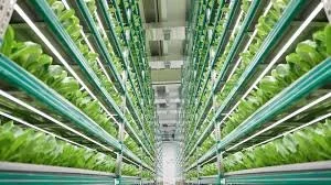 The Genomic Revolution: How Vertical Farms Will Redefine Food