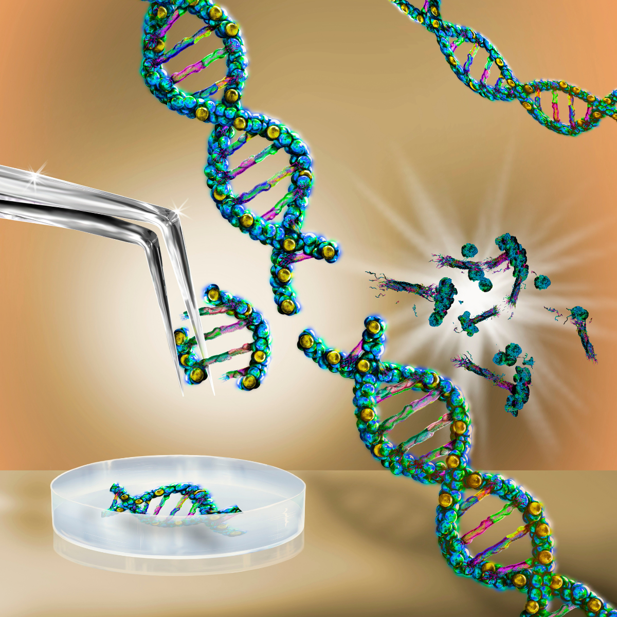 Total Recall: Upgrading Memory with CRISPR