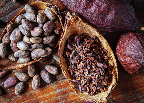 The Cacao Genome: Science Meets Sustainability in Chocolate's Future