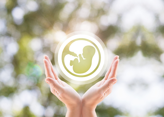 The Call of the Wild: How Genomics Is Rewriting Nature's Playbook