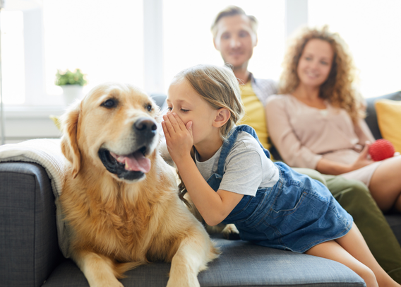 Bark to the Future: CRISPR, Canines, and the Cult of Perfection