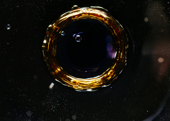 Plasmids to the Rescue: Eat Plastic, Save the Planet