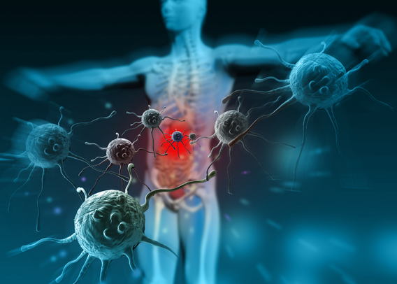 The Digital Doppelgänger