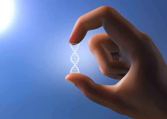 The Hive Mind Genome; The Dream of Shared Consciousness