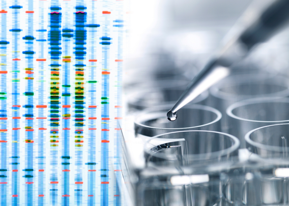 Time Hackers: Rewinding Aging Before Birth