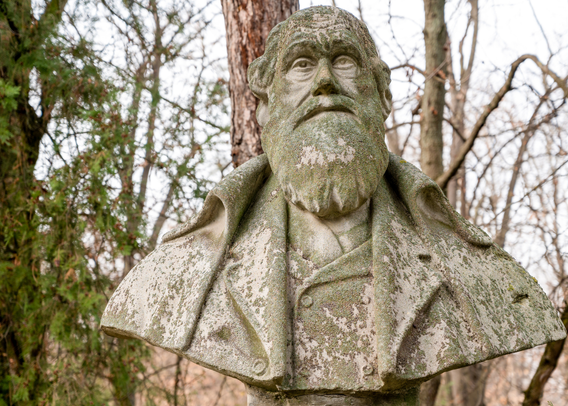 The Snackable Science Darwin Warned You About