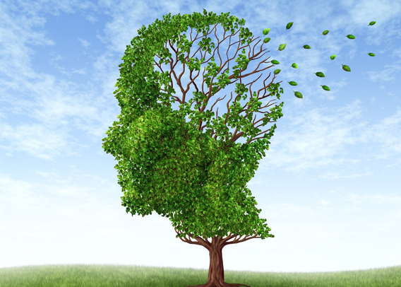 Upgrading Memory with CRISPR