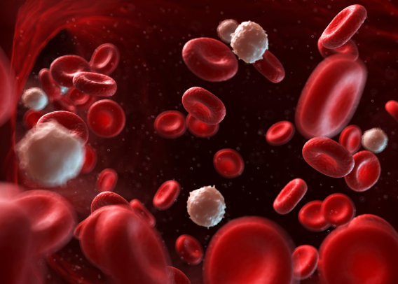 Bloodstream Symphony: The Casgevy Revolution Begins