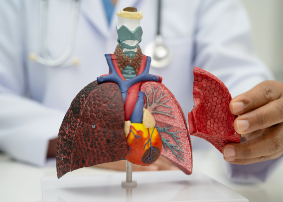 I Like Big Organs (and I Cannot Lie)