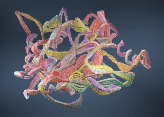 DNA Has Ideas, Not Instructions: How Proteins Interpret the Genome