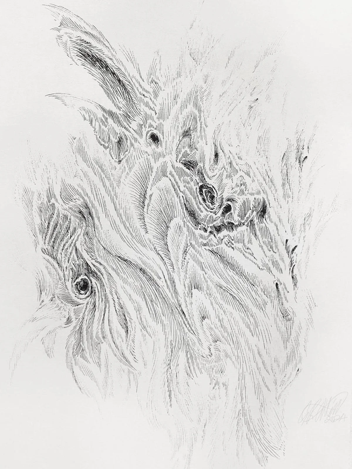 'Entity II', ink on paper, 408mm x 295mm, 2024