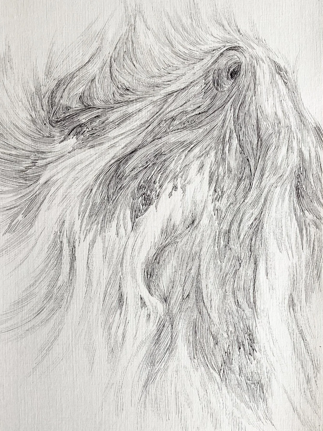 'Entity I', ink on paper, 408mm x 295mm, 2024