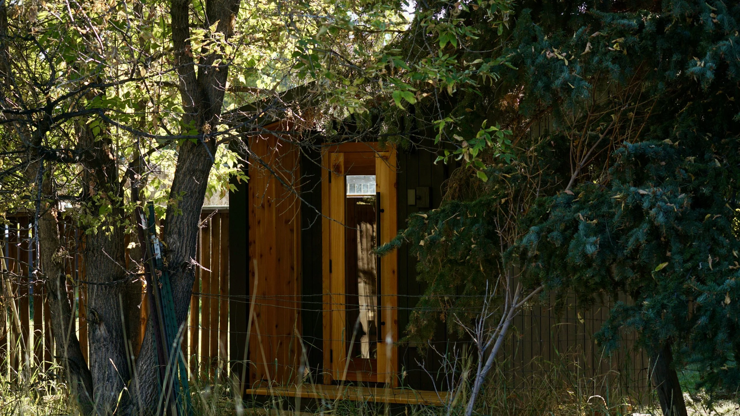 Small wooden shed surrounded by trees and bushes in a garden.