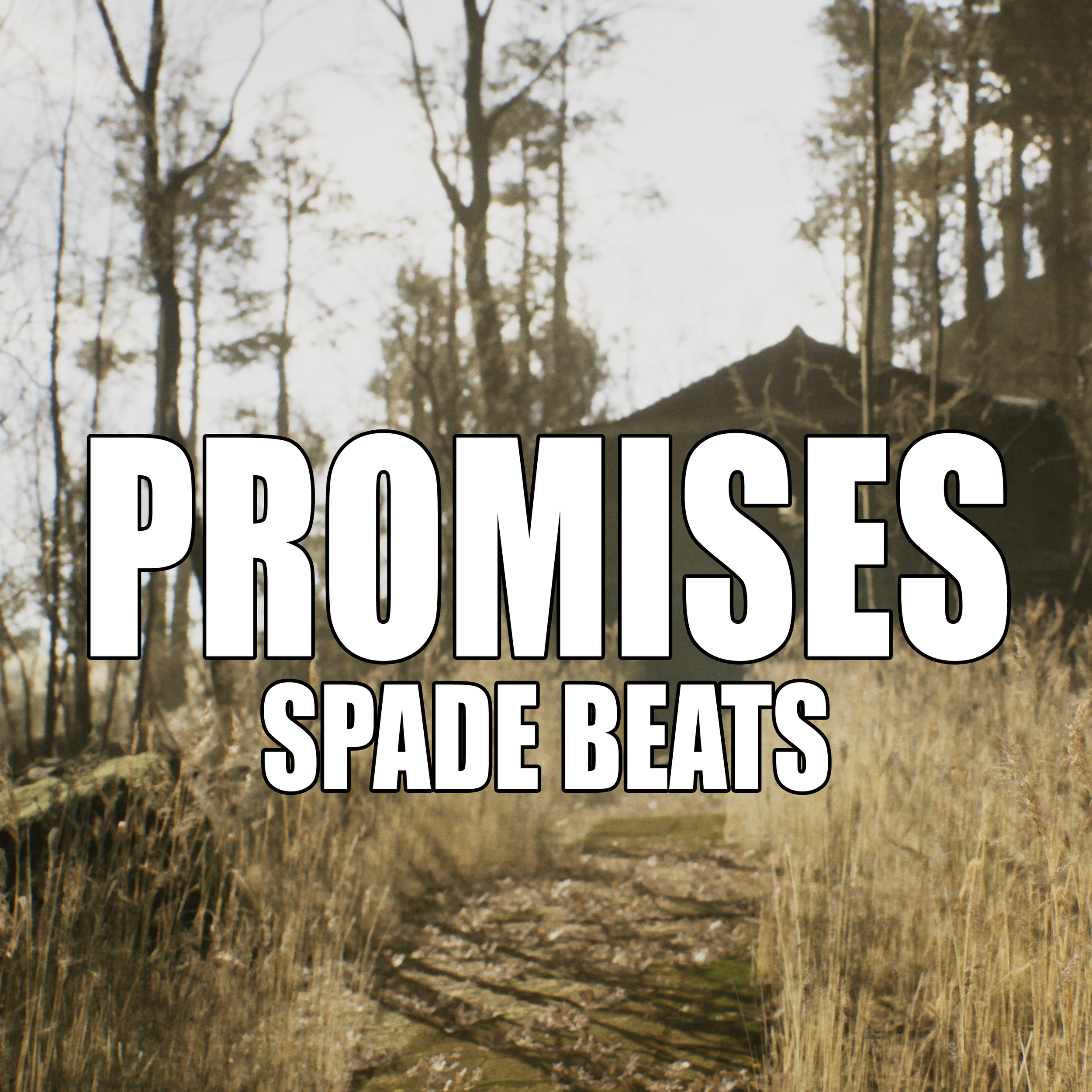 Promises (Single)
