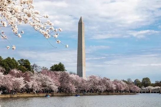 Washington DC landmark near Abugida Education's DMV tutoring community