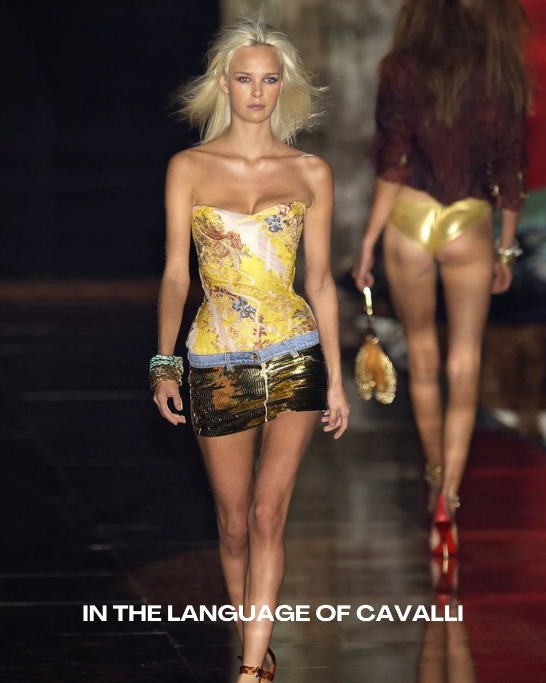 Roberto Cavalli: Long Live Sensuality

Before quiet luxury, there was Cavalli. Before baggy jeans, there was sensuality.

At a time when fashion was defined by restraint, Roberto Cavalli embraced excess. Spring/Summer 2002&ndash;2003 brought low-rise