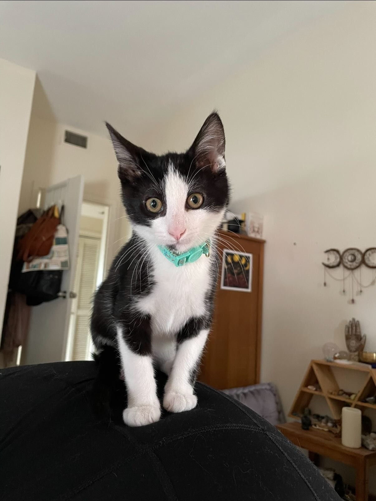 Today my sweet Ernie turns 5! He is truly my little love and stage five clinger. He is such a sweet, empathic little boy. Those who have met him know his chaos and still love him. He loves his aunties. But we still have some issues with biting but th