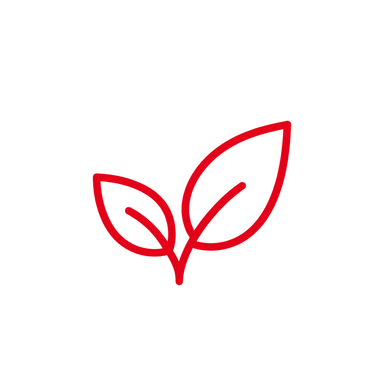 Simple red line drawing of a small plant with two leaves on a black background.