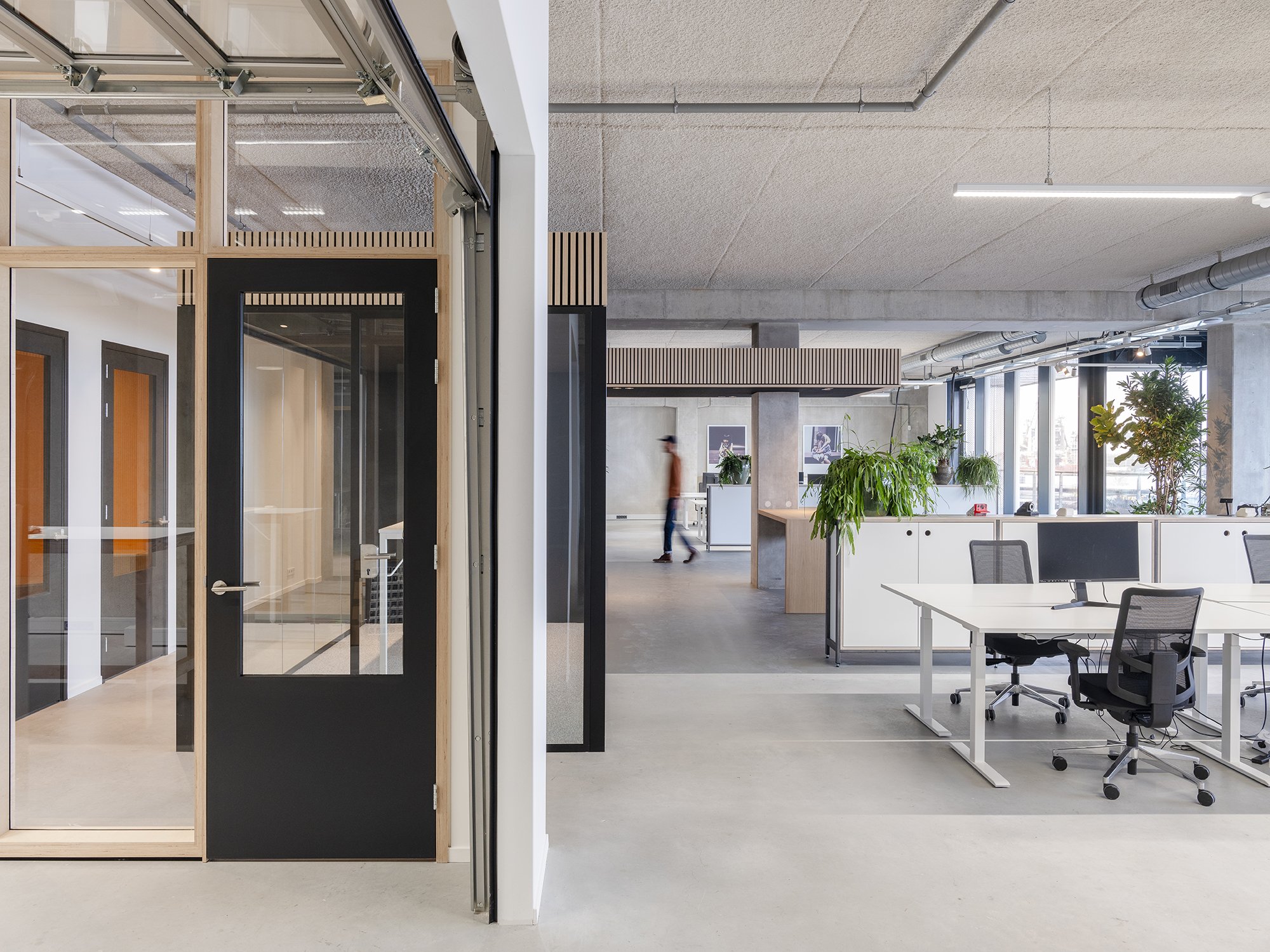 Polaroid by studio ollo