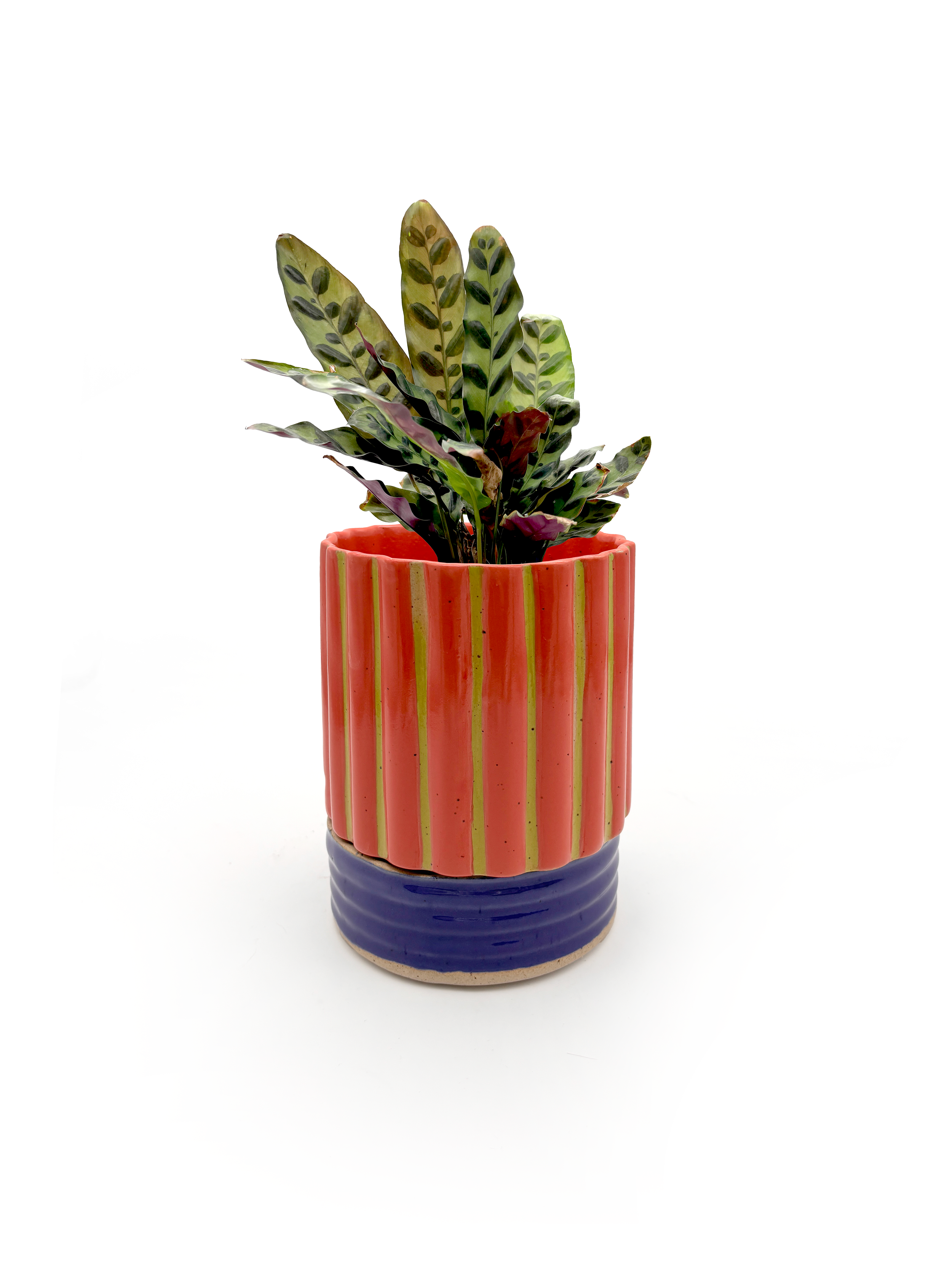 PREORDER Planter in Striped Red & Purple