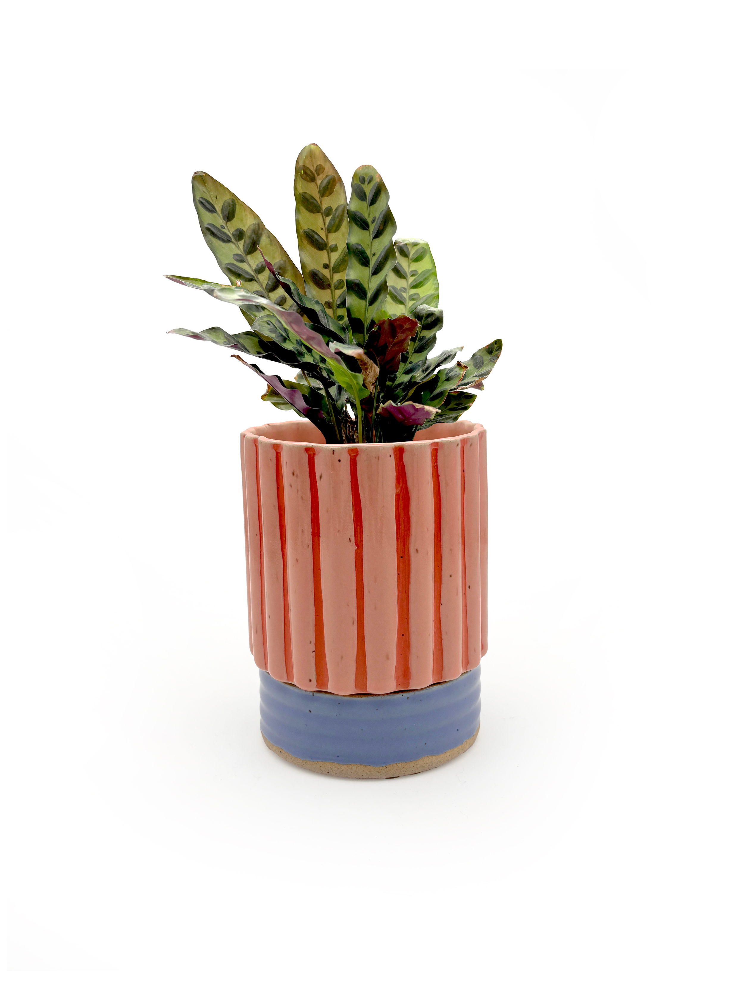 PREORDER Planter in Striped Pink & Blue