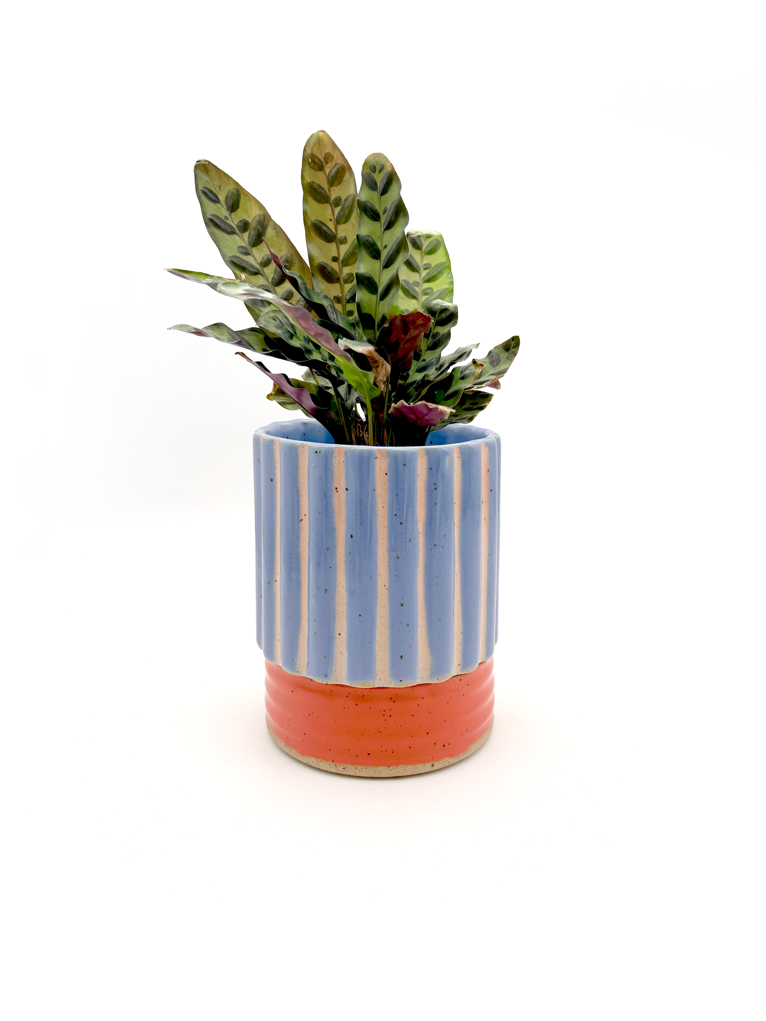 PREORDER Planter in Striped Blue Red