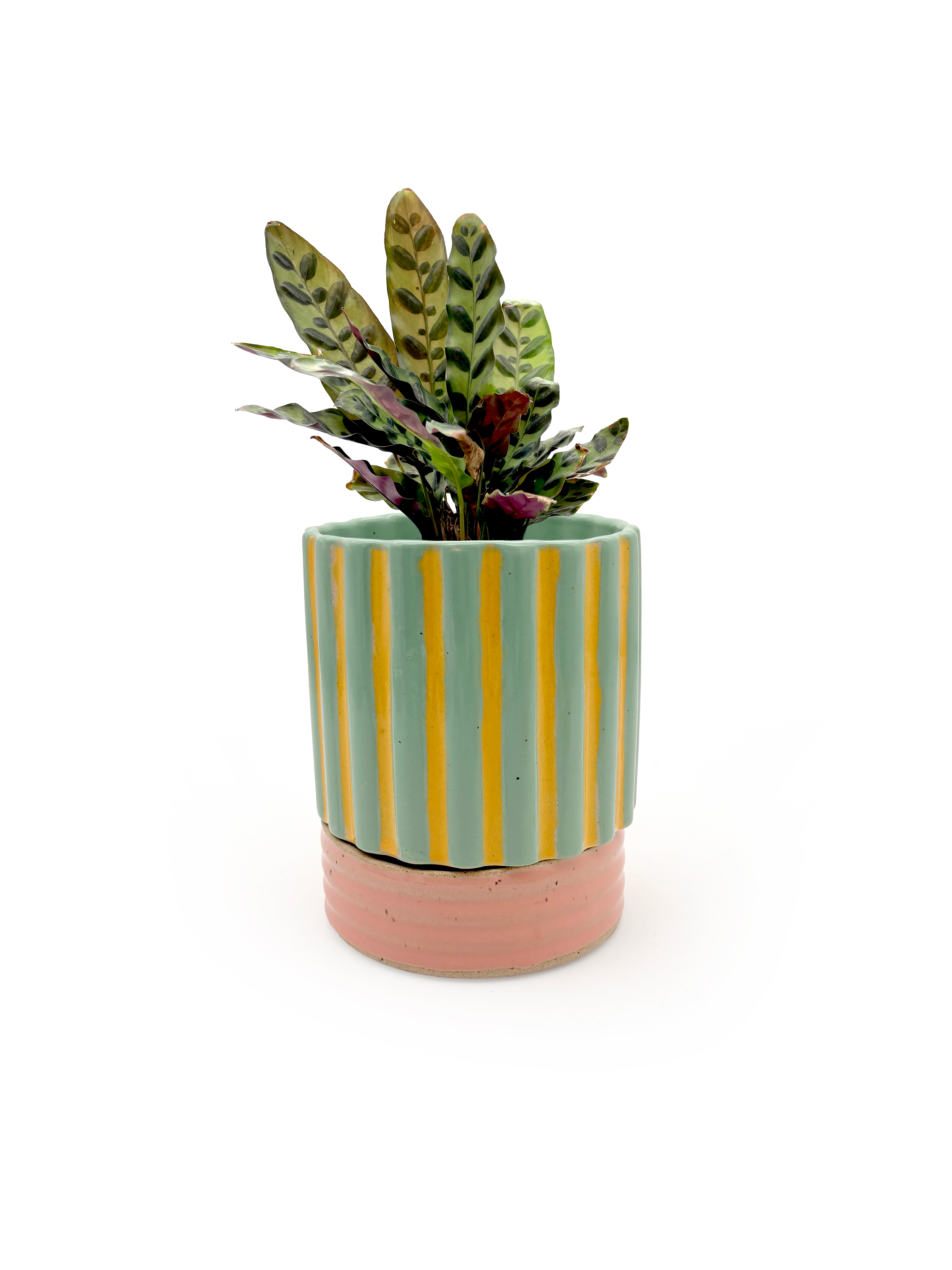 PREORDER Planter in Striped Aqua Pink