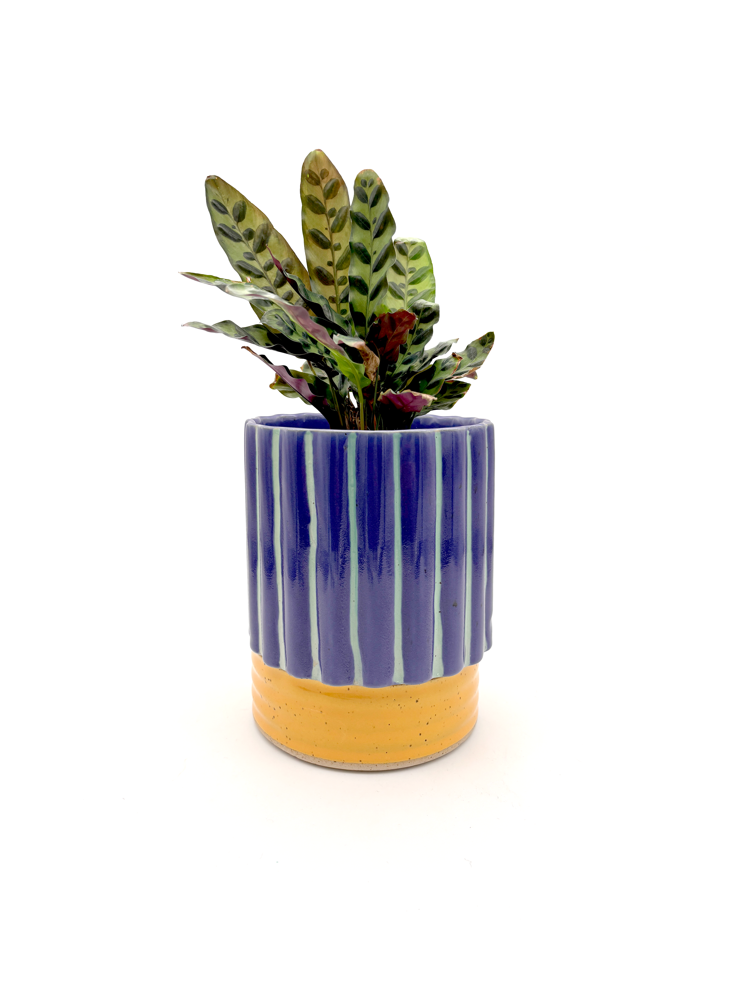 PREORDER Planter in Striped Purple Yellow