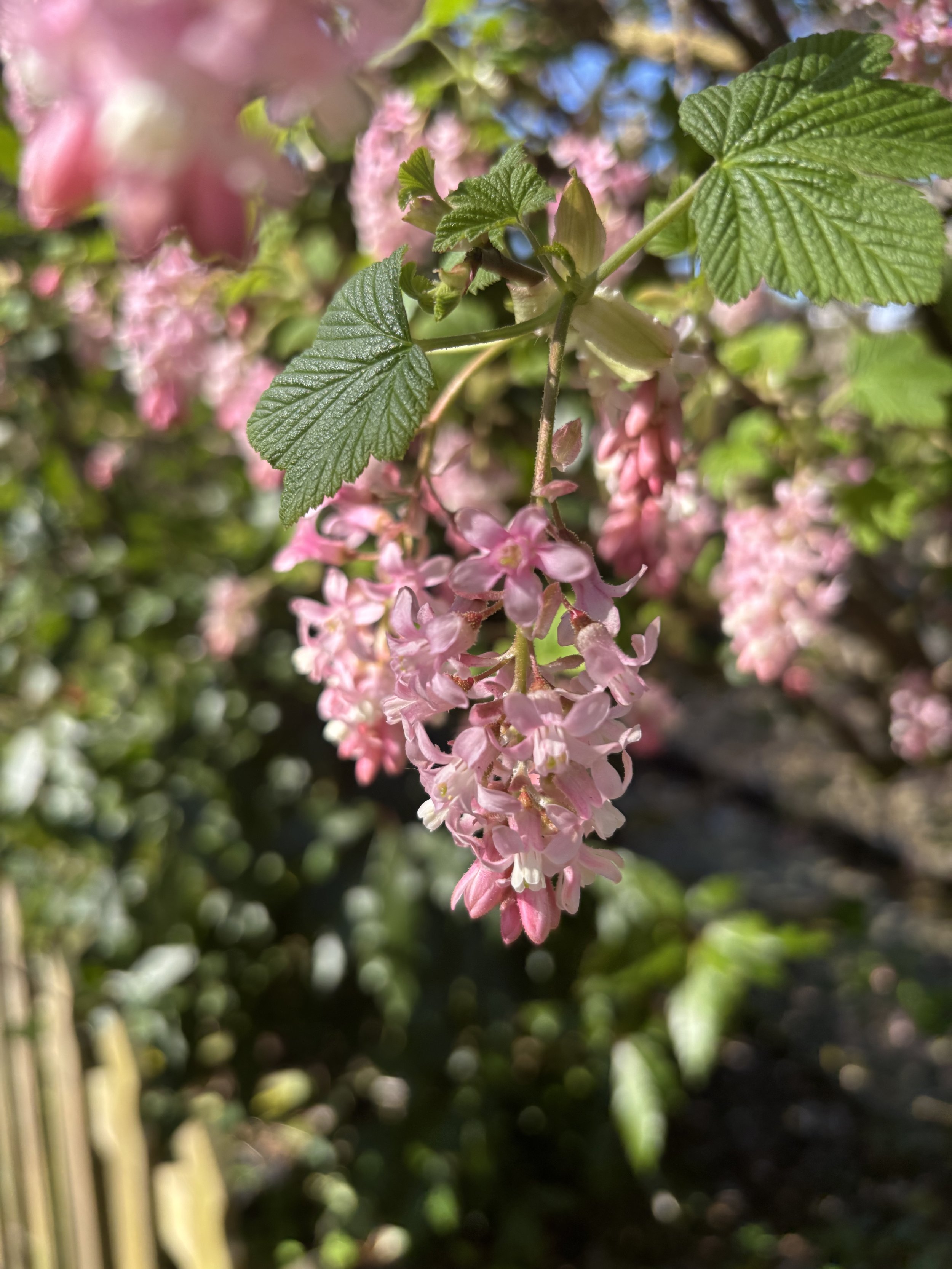 Yearly reset - setting goals, reflecting on your year and realising you don’t need to become a new person just improve who you already are