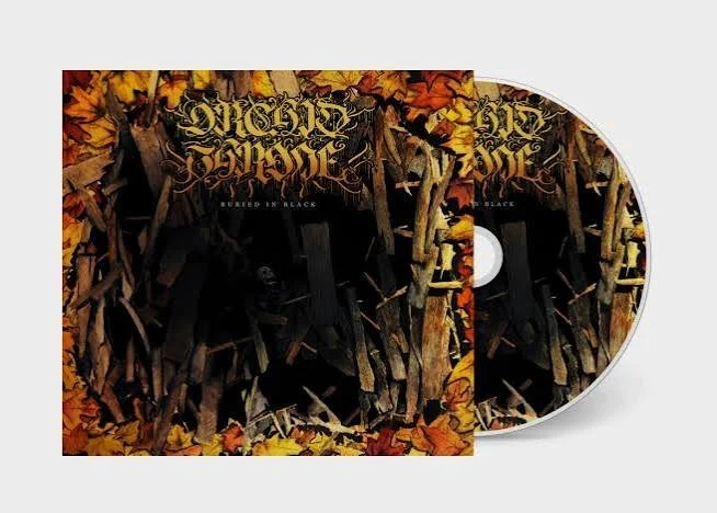 INTERVIEW &amp; ALBUM REVIEW! Buried in TALENT - Orchid Throne: The story of One man who recorded an entire album solo. 