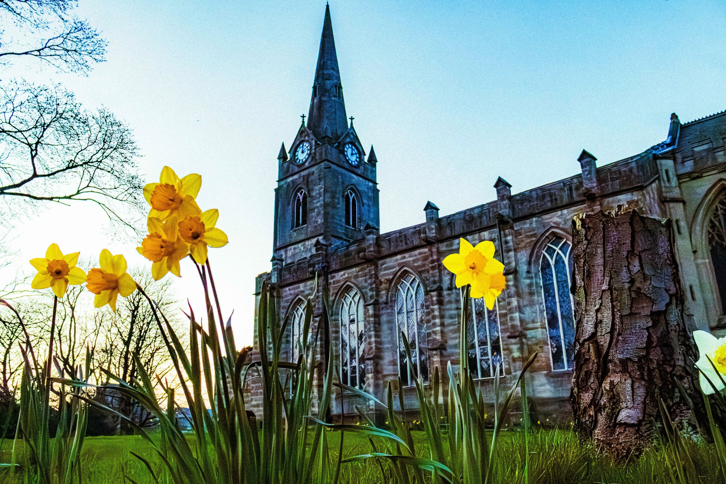 Spring in Littleborough - Elisha Harris, WorldHere 21.03.2026 (18 of 21).jpg