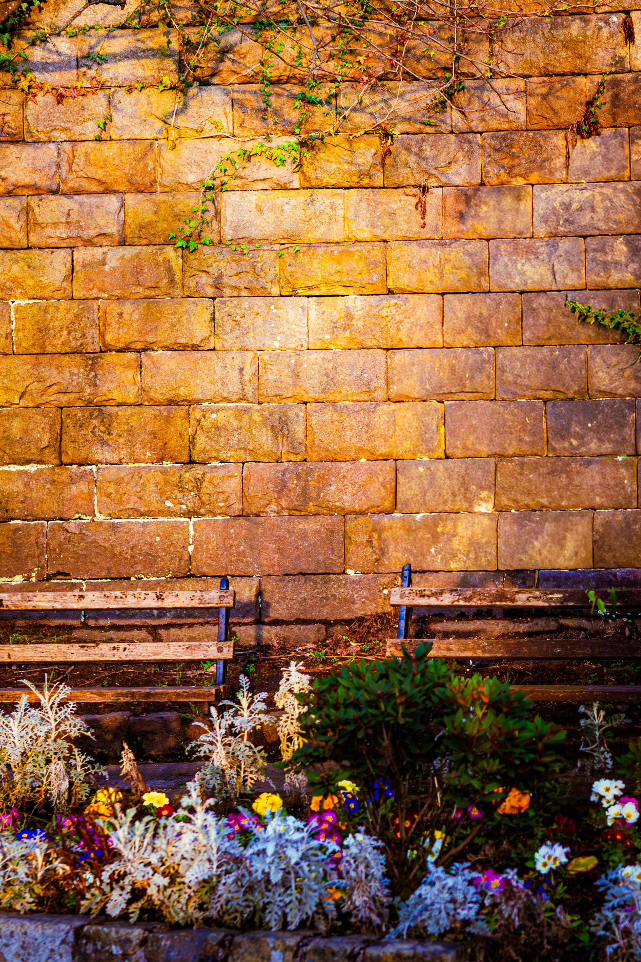 Spring in Littleborough - Elisha Harris, WorldHere 21.03.2026 (1 of 21).jpg