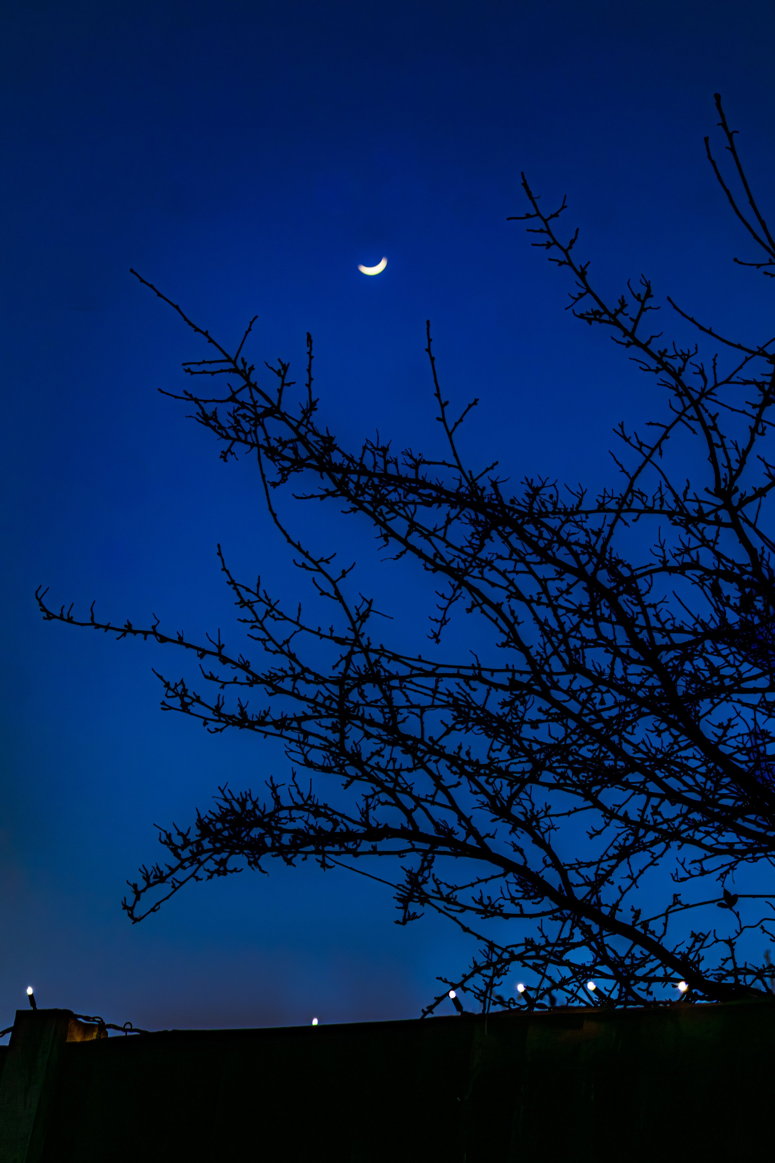 Spring in Littleborough - Elisha Harris, WorldHere 21.03.2026 (21 of 21).jpg